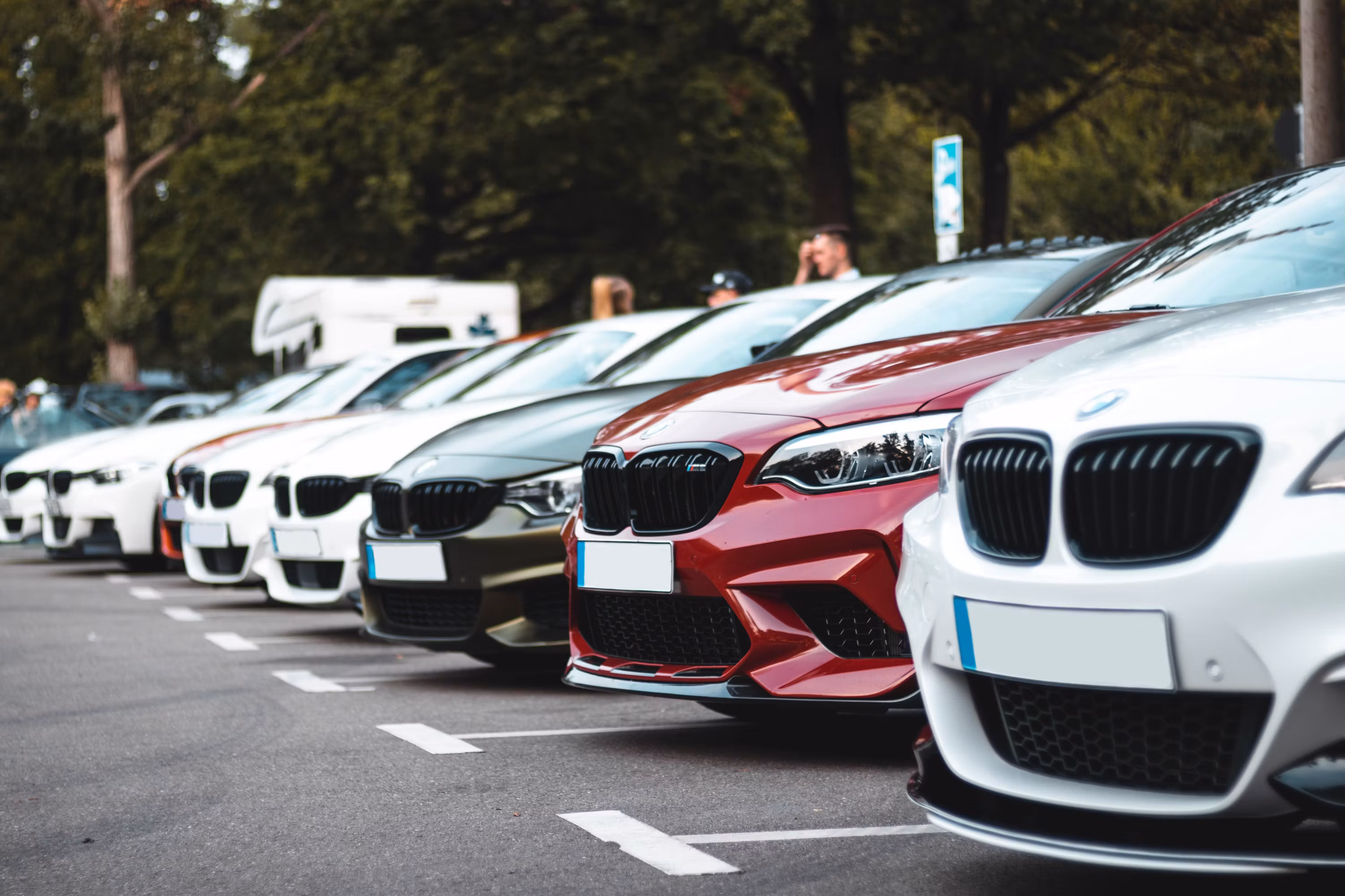 A row of identical rental-style cars, no logos